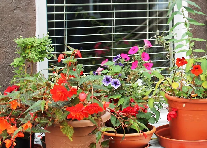 Ashley Отель 2*