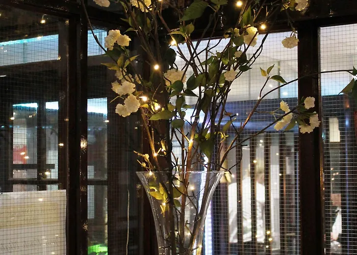 酒店 阿什利酒店 科克